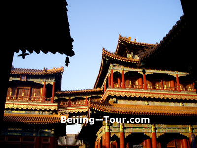 Lama Temple